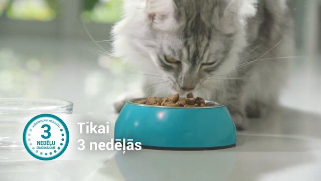 Purina ONE смотреть онлайн
