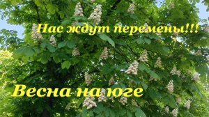 Закрыли больничный🤗 / Весна на юге🌸 / Нас ждут перемены!!!🙃