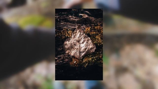 10 Creative Nature Photography Ideas | Simple Photo Ideas in 150 Seconds смотреть онлайн