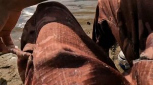 ДОБИРАЛСЯ ЧЕРЕЗ ДУБ. СЕКРЕТ ЛОВЛИ ПОДУСТА НА РЕКЕ