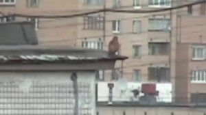 кроухантер