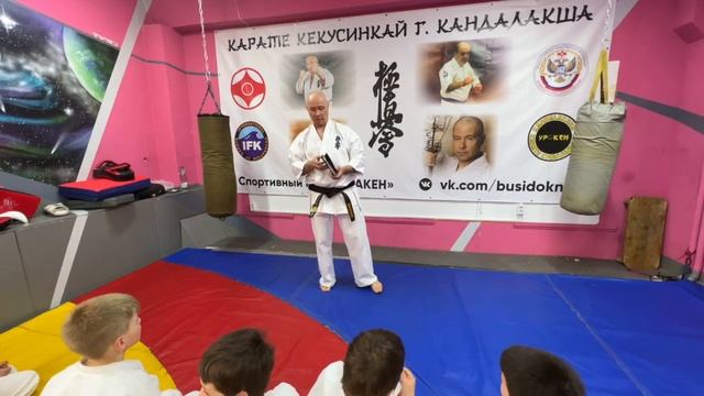 Кёкусинкай Кандалакша / Ката - режим направленной силы / Дневник самоподготовки (6.05.23)
