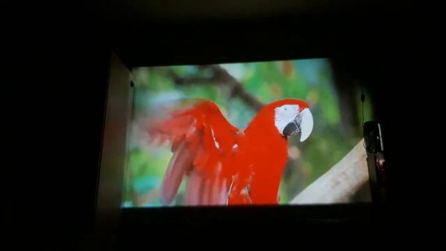 Проектор ThundeaL TD90 Честный обзор! смотреть онлайн