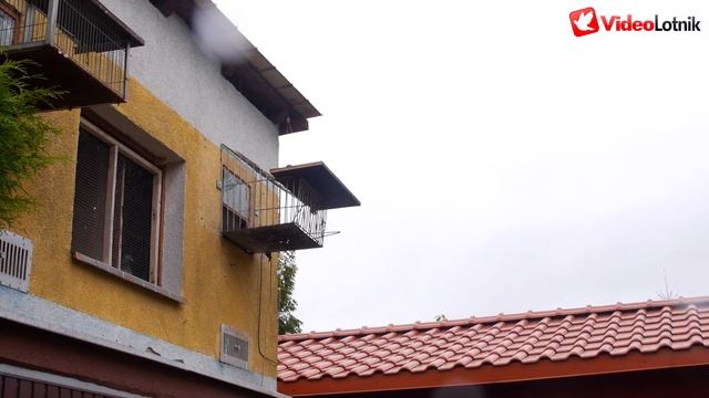 Mistrzowski tandem na gołębie młode 8/15 i z całości - Andrzej i Michał Buszko PZHGP Kwidzyn смотреть онлайн