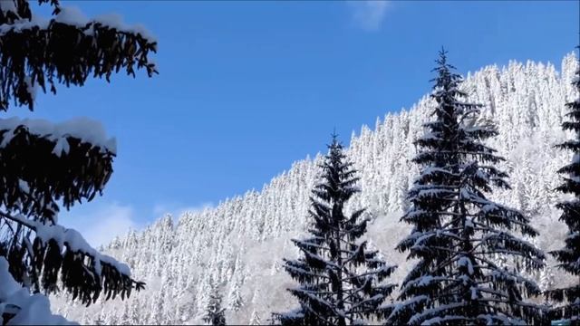 Родился в хлеву Избавитель....света путь смотреть онлайн