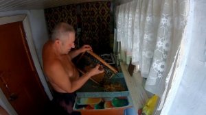 Откачка меда (отбор) в деревне ? Сколько меда дает улей с 6 рамок ?? Пчеловод самоучка его пасека ?