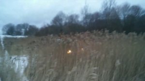 Самодельный вездеход пневмоход.