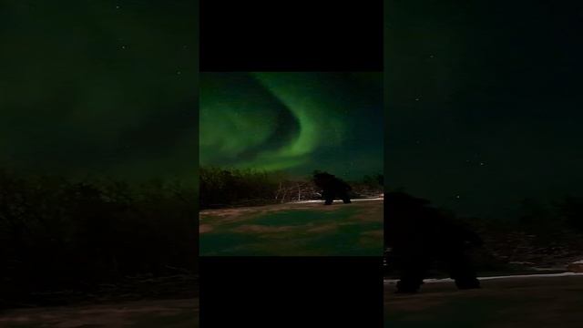 Aurora Village Video Аврора Вилладж Видео Северное Сияние #аврора #aurora #nortnernlights #мурманск