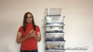 ДОБРО ПОЖАЛОВАТЬ! Все об УЛИТКАХ | Ахатины архахатины мегасы древесники