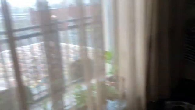 Огляд кафе Горянка Ужгород смотреть онлайн