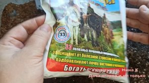 РАССАДА БУДЕТ СУПЕР! САЖАЮ БЕЗ ВЫКРУТАСОВ СЕМЕНА ТОМАТОВ НА РАССАДУ. ГРУНТ ДЕЛАЮ СВОИМИ РУКАМИ