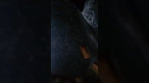 Пробный запуск BMW e34 m30b30 4 года простоя