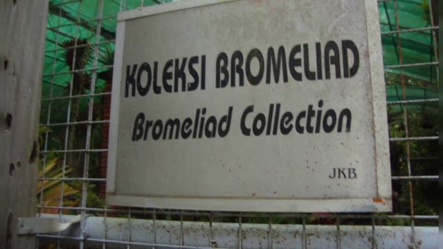 Unique Plants of Penang Malaysian Garden | Penang Botanical Garden | Malaysia | Info Biodiversity смотреть онлайн