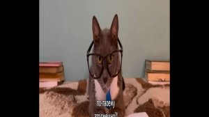 Бябялогия отрывок 1