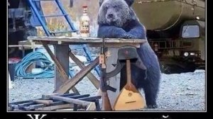 Порушка-Параня, Вежливые люди (лезгинка)