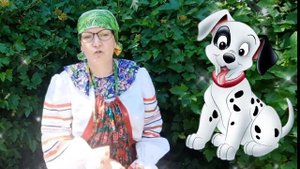 "Интересные факты о зрении".