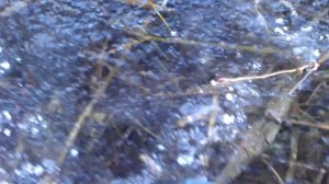 Трескается лед, кончилась зима