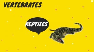 FSL | VERTEBRATE ANIMALS in Sign Language |  Mammals, birds, fish, amphibians and reptiles