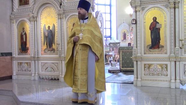Неделя 1-я по Пятидесятнице. Собор Всех святых. Проповедь по прочтении Евангелия смотреть онлайн