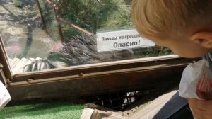 Сафари парк в Геленджике Ч.2. Стеклянный мост в Геленджике. Зоопарк геленджик, экскурсии