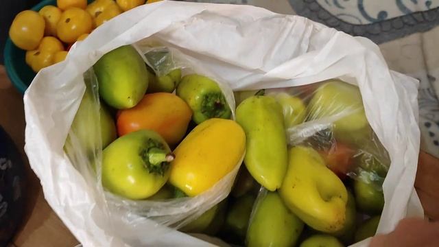 ОБНОВКИ?КУПИЛИ СТАНЦИЮ/ГОТОВЛЮ РАССОЛЬНИК НА ЗИМУ? смотреть онлайн