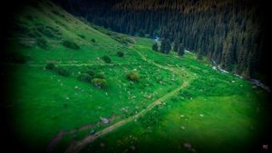 Бек Борбиев-Айда такси