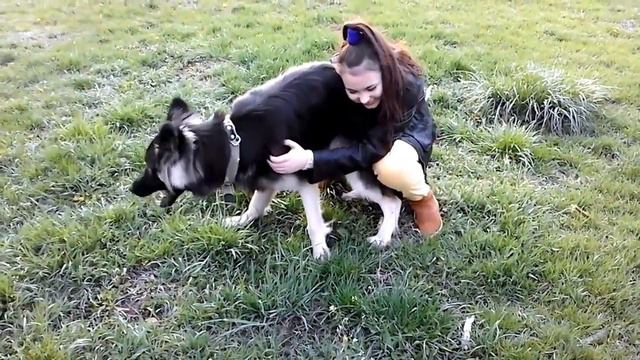 VLOG: Я и мой любимый пес смотреть онлайн