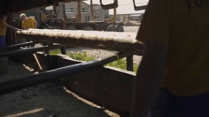 Производство элитных срубов. Городлес в лицах.