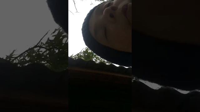 Как нужно разбивать телефон смотреть онлайн