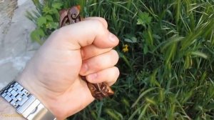 10 САМЫХ НЕОБЫЧНЫХ ВИДОВ ХОЛОДНОГО ОРУЖИЯ Ч.2