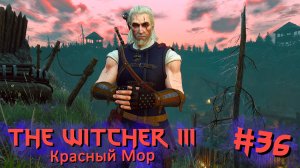 Красный Мор | The Witcher 3 / Ведьмак 3 #036 [Прохождение] | Play GH