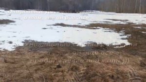 Откровение Дмитрия Мусихина, о том, где он родился!