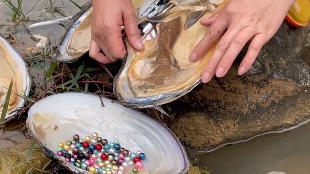 Unbelievable,there are mussels under the aquatic plants in the small river,and I got colorful pearl смотреть онлайн