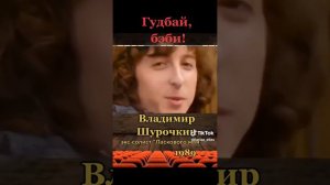 Шурочкин Владимир - Гудбай, беби