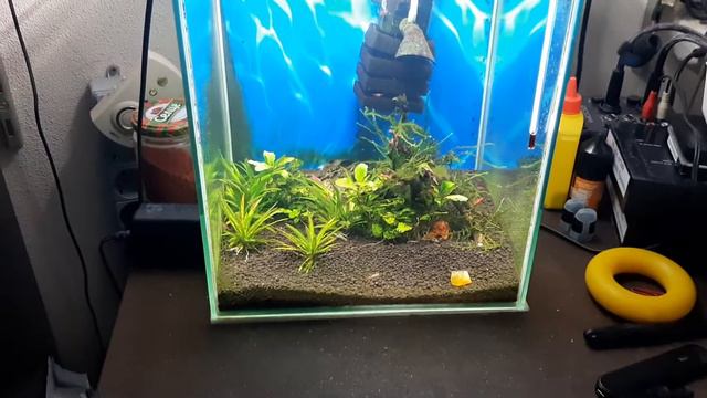 Акваэль 19 смотреть онлайн