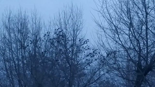 5 февраля ДЕНЬ АГАФИЯ ПОЛУХЛЕБНИКА . народные приметы и традиции смотреть онлайн