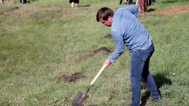 Хутор Большие Челбасы украсила аллея молодых клёнов смотреть онлайн