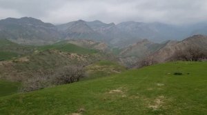 узбекистан сурхондарё узун боботог