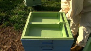 Подготовка пчёл к зимовке в омшаннике ч.2. Нефтекамск.