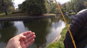 #452 #мормышинг | Ловля карася на спиннинг | Карась на ВАТУ |