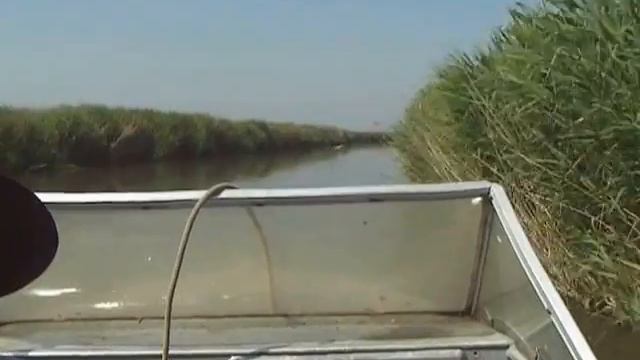 Едем с рыбалки и гонимся за цаплей. Темрюкские лиманы. смотреть онлайн