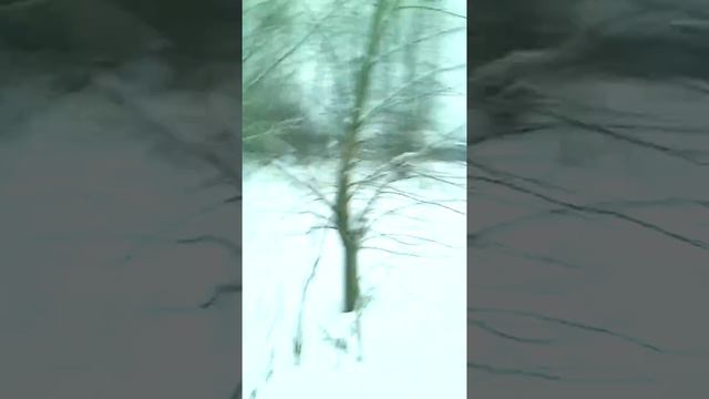 Пусто в городе смотреть онлайн