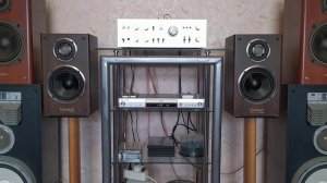 шикарные колонки  полочники onkyo liverpool d150