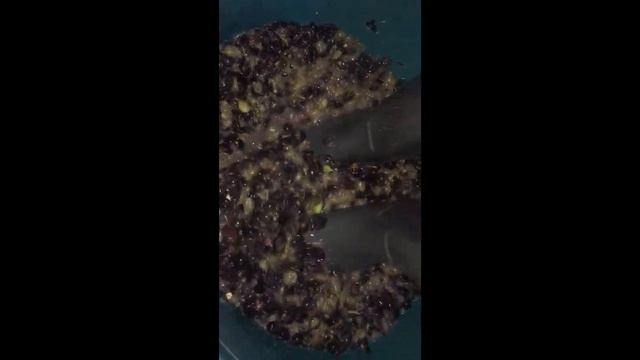 Домашнее виноградное вино. Часть 1.mp4 смотреть онлайн