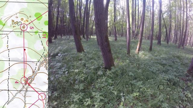 14 07 24, Страхово, Велегож, Заокский район, М16, Ярослав, headcam orienteering