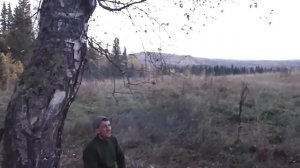 Охота с гончими - результат