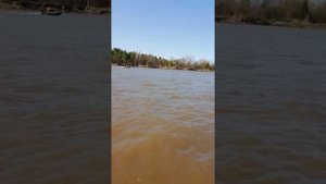 Лодочный мотор АЛЬФА 5 ЛС