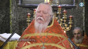Протоиерей Димитрий Смирнов. Проповедь о благополучной жизни