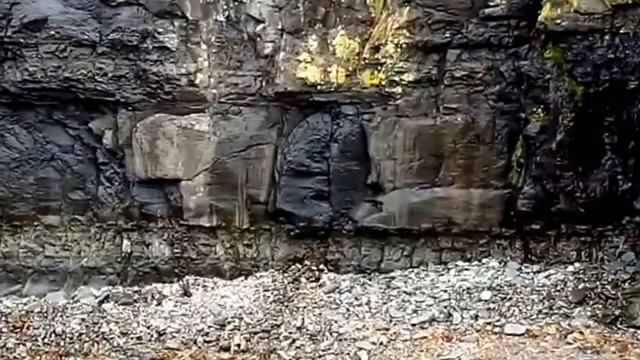 Моменты лета на острове Беринга смотреть онлайн