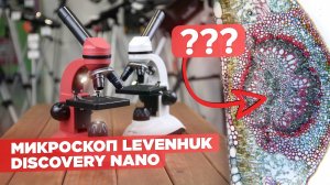 Смотрим в школьный микроскоп Levenhuk Discovery Nano | Обзор и тест